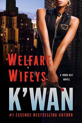 Welfare Wifeys book