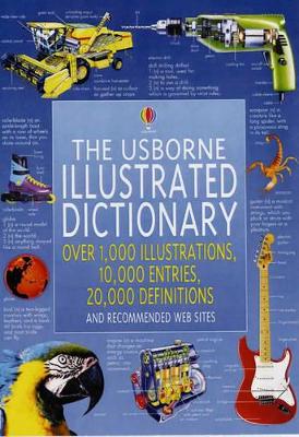 The Usborne Illustrated Dictionary by Jane M. Bingham