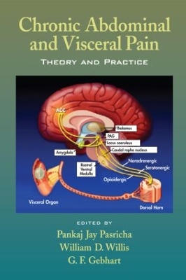 Chronic Abdominal and Visceral Pain by Pankaj Jay Pasricha