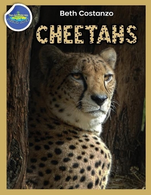 Cheetah Activity Workbook ages 4-8 book