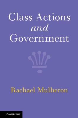 Class Actions and Government book