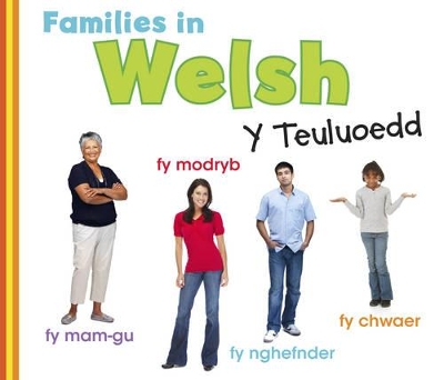Families in Welsh: Y Teuluoedd by Daniel Nunn
