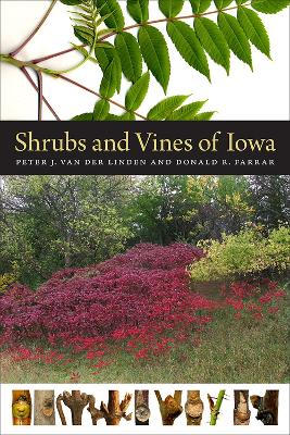 Shrubs and Vines of Iowa book