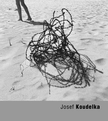 Josef Koudelka by Josef Koudelka