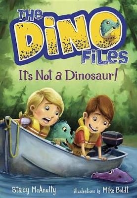 Dino Files #3 It's Not A Dinosaur! book