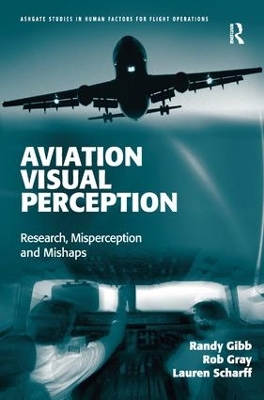 Aviation Visual Perception book