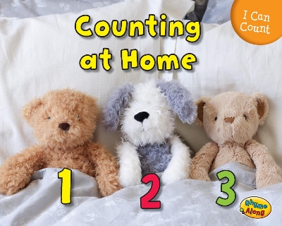 Counting at Home book
