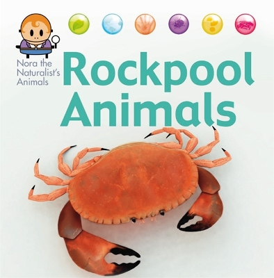 Nora the Naturalist's Animals: Rock Pool Animals book