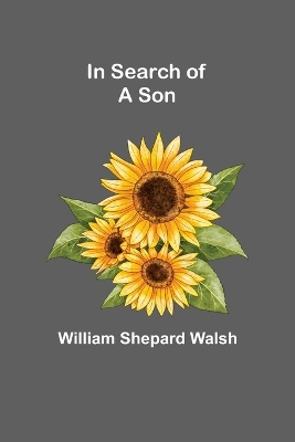 In Search of a Son book