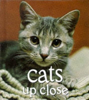 Cats Up Close book