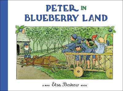 Peter in Blueberry Land book