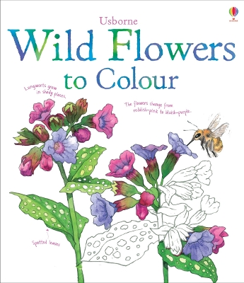 Wild Flowers to Colour book