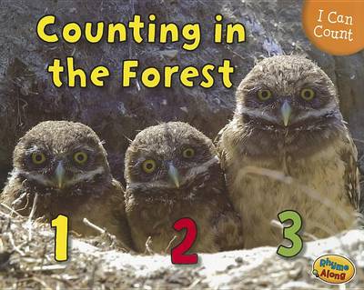 Counting in the Forest by Rebecca Rissman