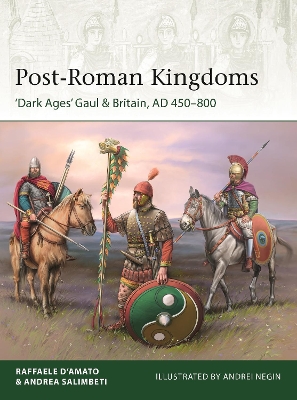 Post-Roman Kingdoms: ‘Dark Ages' Gaul & Britain, AD 450–800 book