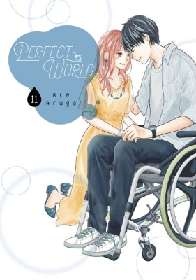 Perfect World 11 book