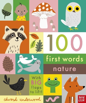 100 First Words: Nature book