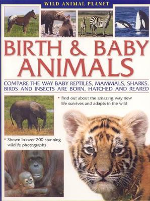 Wild Animal Planet: Birth and Baby Animals*** out of stock book