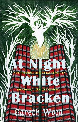 At Night White Bracken book