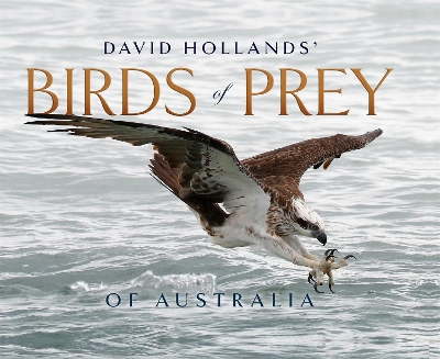 David Hollands’ Birds of Prey Of Australia book