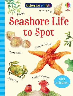 Seashore Life to Spot book