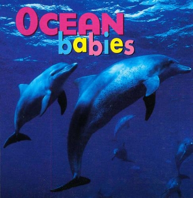 Ocean Babies BD book