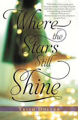 Where the Stars Still Shine book