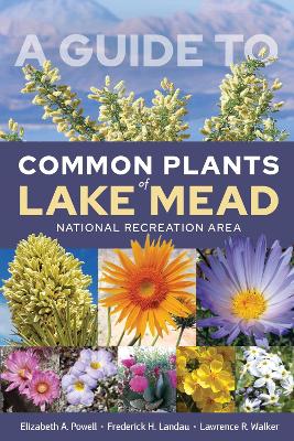 A Guide to Common Plants of Lake Mead National Recreation Area book