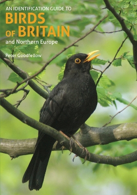 An Identification Guide to Birds of Britain and Northern Europe (2nd edition) book