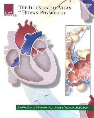 Illustrated Atlas of Human Physiology book