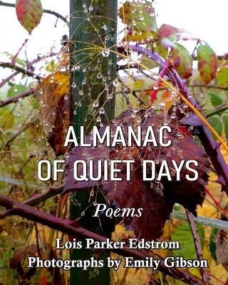 Almanac of Quiet Days book