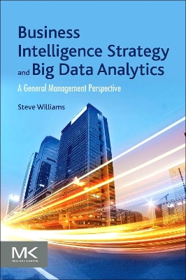 Business Intelligence Strategy and Big Data Analytics book