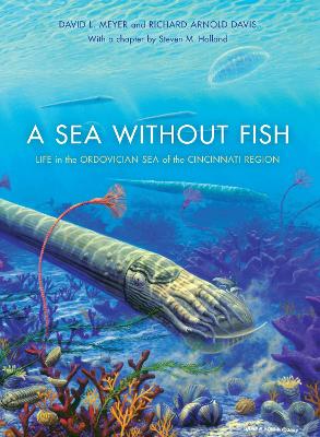 Sea without Fish book