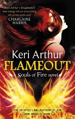 Flameout book