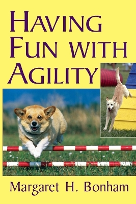 Having Fun with Agility without Competition book