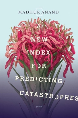 New Index For Predicting Catastrophes book