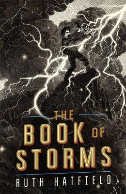 Book of Storms book