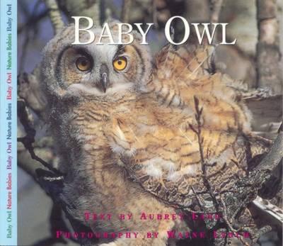 Baby Owl book