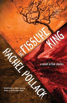 The Fissure King: A Novel in Five Stories book