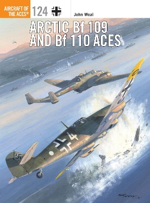 Arctic Bf 109 and Bf 110 Aces book