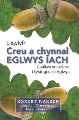 Creu a Chynnal Eglwys Iach book