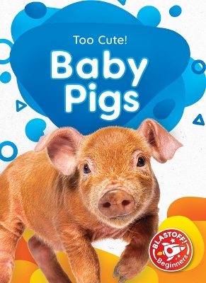 Baby Pigs by Elizabeth Neuenfeldt