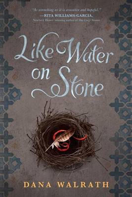 Like Water on Stone book