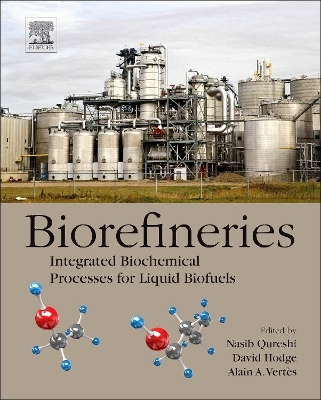 Biorefineries 1e book