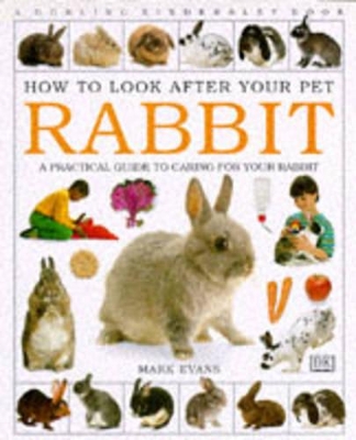 How To Look After Your Pet: Rabbit book