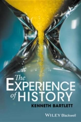 The Experience of History book