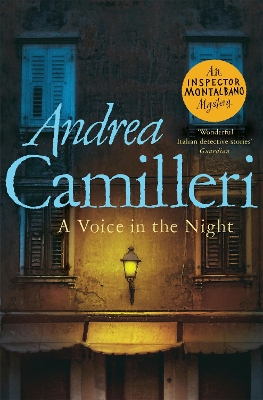 A Voice in the Night book