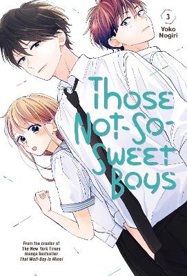 Those Not-So-Sweet Boys 3 book
