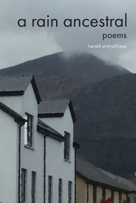 A Rain Ancestral: Poems book