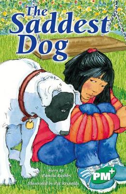 The Saddest Dog book