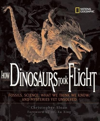 How Dinosaurs Took Flight book